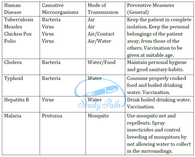 Class 8 Science Chapter 2 Microorganims Friend and Foe Important Question 1