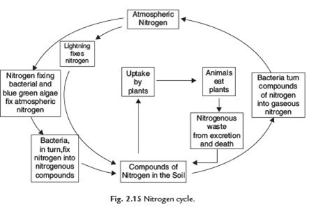 Class 8 Science Chapter 2 Microorganims Friend and Foe Important Question 2