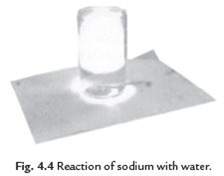 Class 8 Science Chapter 4 Materials Metals and Non metals Important Question 2