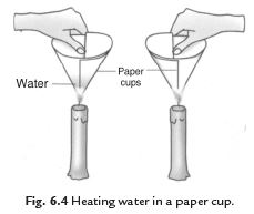 Class 8 Science Chapter 6 Coal and Petroleum Important Question 1