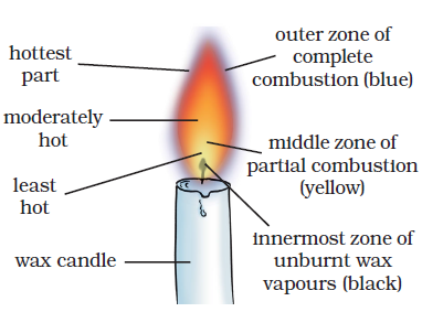 Class 8 Science Chapter 6 Coal and Petroleum Important Question 3