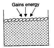 Extra Questions for Class 9 Science Chapter 1 Matter in Our Surroundings 3