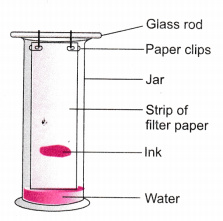 Extra Questions for Class 9 Science Chapter 2 Is Matter Around Us Pure 5