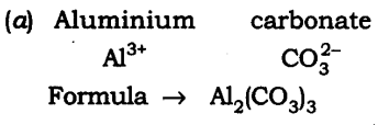 Extra Questions for Class 9 Science Chapter 3 Atoms and Molecules 3