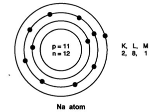 Extra Questions for Class 9 Science Chapter 4 Structure of the Atom 2