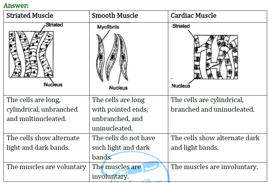 Extra Questions for Class 9 Science Chapter 6 Tissues 1