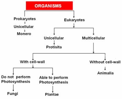 Extra Questions for Class 9 Science Chapter 7 Diversity in Living Organisms 2