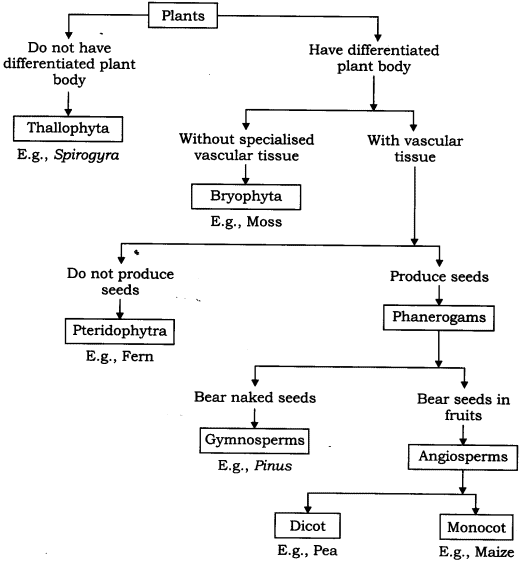 Extra Questions for Class 9 Science Chapter 7 Diversity in Living Organisms 4