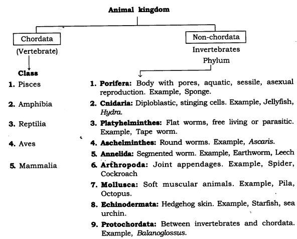 Extra Questions for Class 9 Science Chapter 7 Diversity in Living Organisms 5