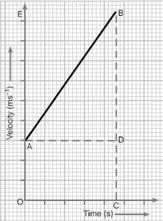 Extra Questions for Class 9 Science Chapter 8 Motion 9