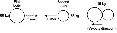 Extra Questions for Class 9 Science Chapter 9 Force and Laws of Motion 5