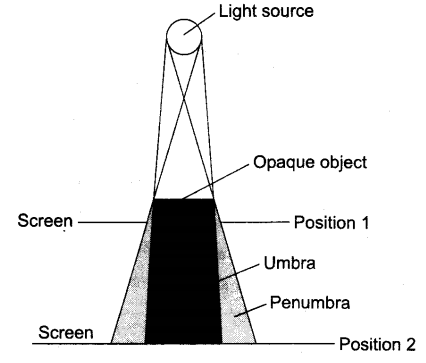 Important Questions for Class 6 Science Chapter 11 Light Shadow and Reflection 1