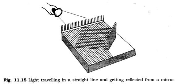 Important Questions for Class 6 Science Chapter 11 Light Shadow and Reflection 6