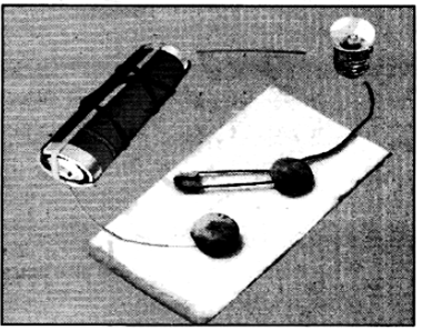 Important Questions for Class 6 Science Chapter 12 Electricity and Circuits 2