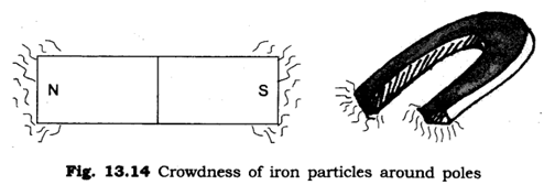 Important Questions for Class 6 Science Chapter 13 Fun with Magnets 4