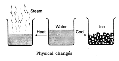 Important Questions for Class 6 Science Chapter 6 Changes Around Us 1