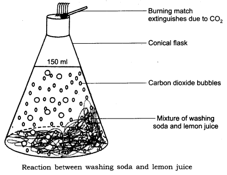 Important Questions for Class 6 Science Chapter 6 Changes Around Us 2