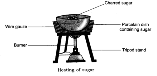 Important Questions for Class 6 Science Chapter 6 Changes Around Us 3