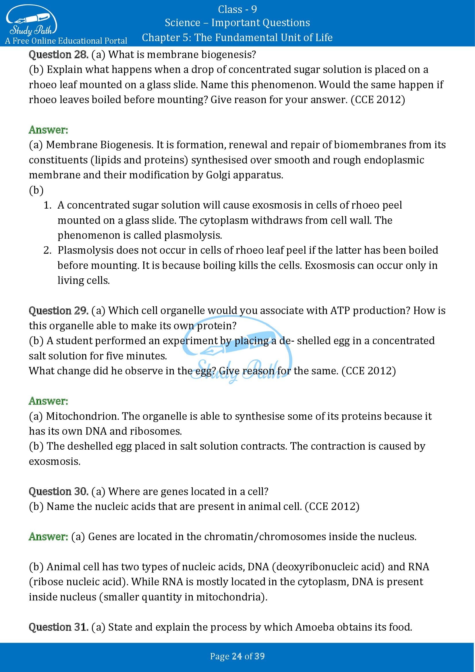 Important Questions for Class 9 Science Chapter 5 The Fundamental Unit of Life 00024