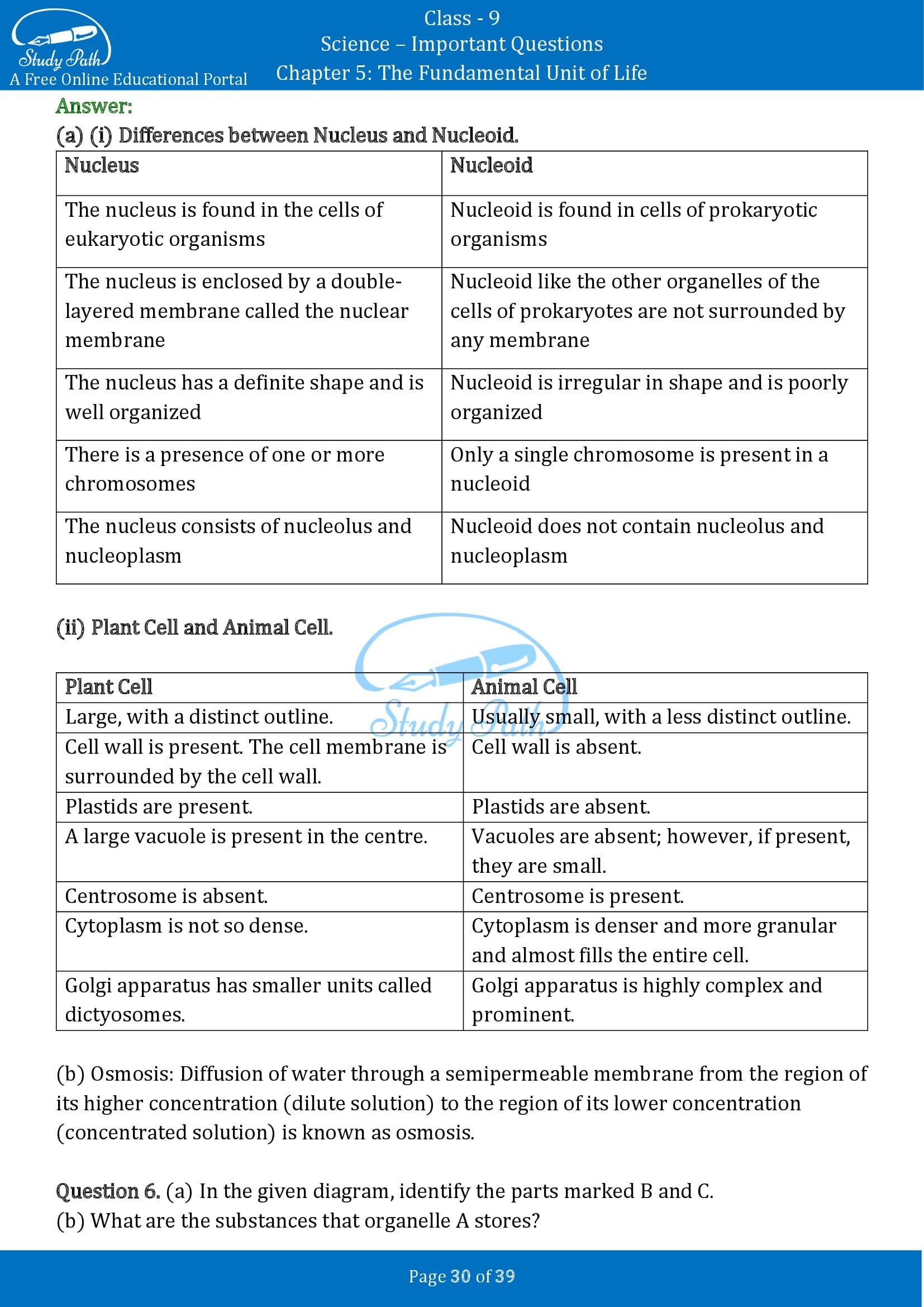 Important Questions for Class 9 Science Chapter 5 The Fundamental Unit of Life 00030