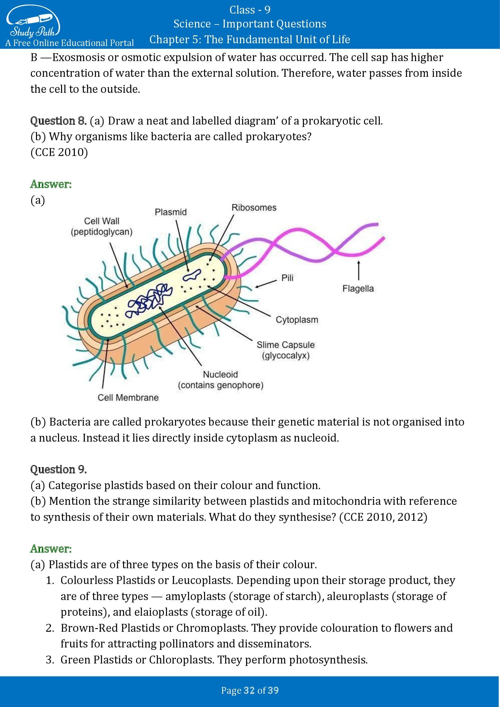 Important Questions for Class 9 Science Chapter 5 The Fundamental Unit of Life 00032