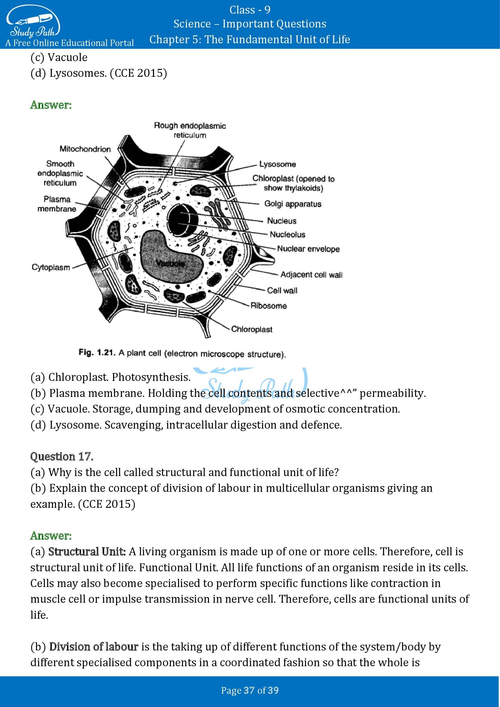 Important Questions for Class 9 Science Chapter 5 The Fundamental Unit of Life 00037