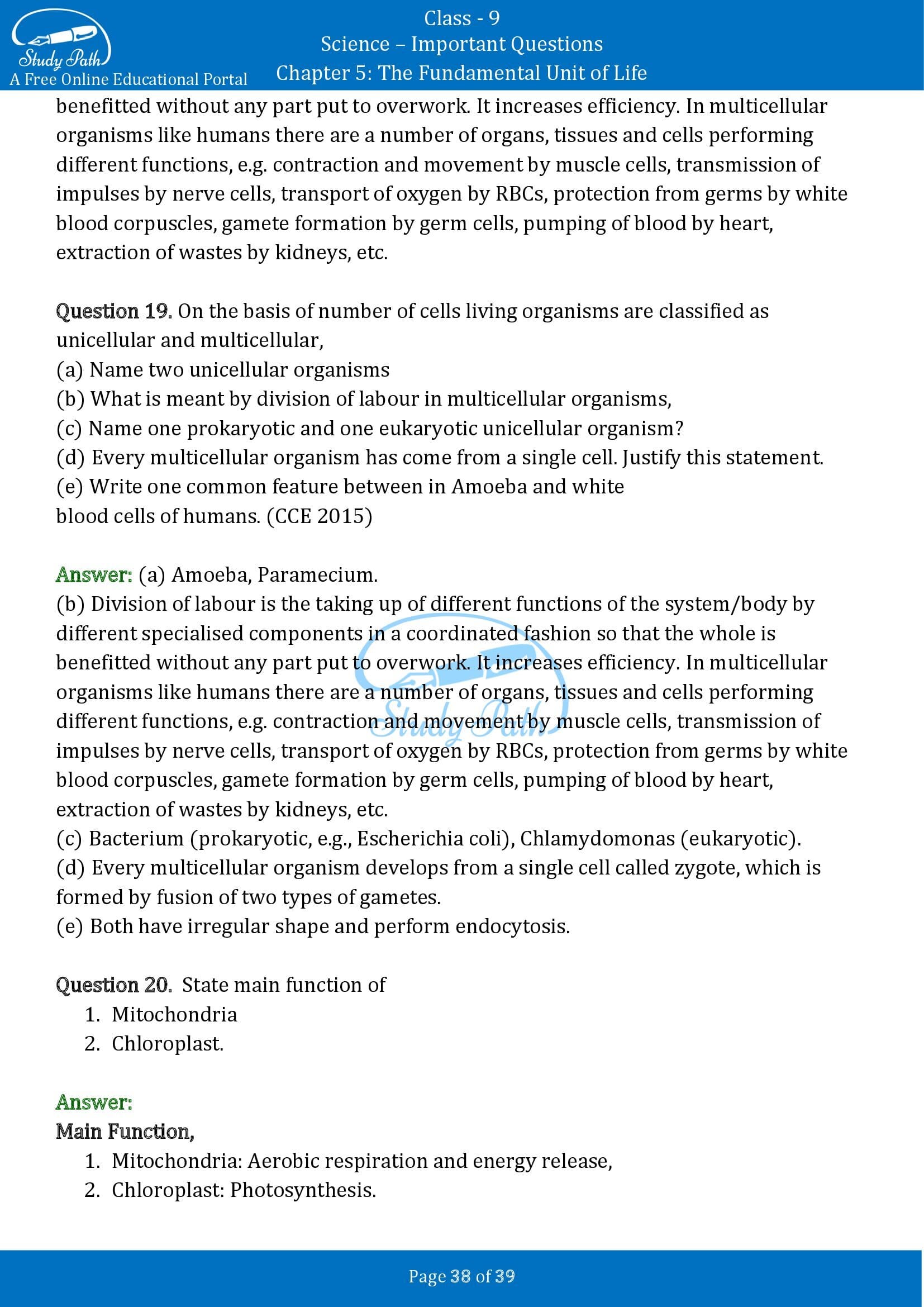 Important Questions for Class 9 Science Chapter 5 The Fundamental Unit of Life 00038