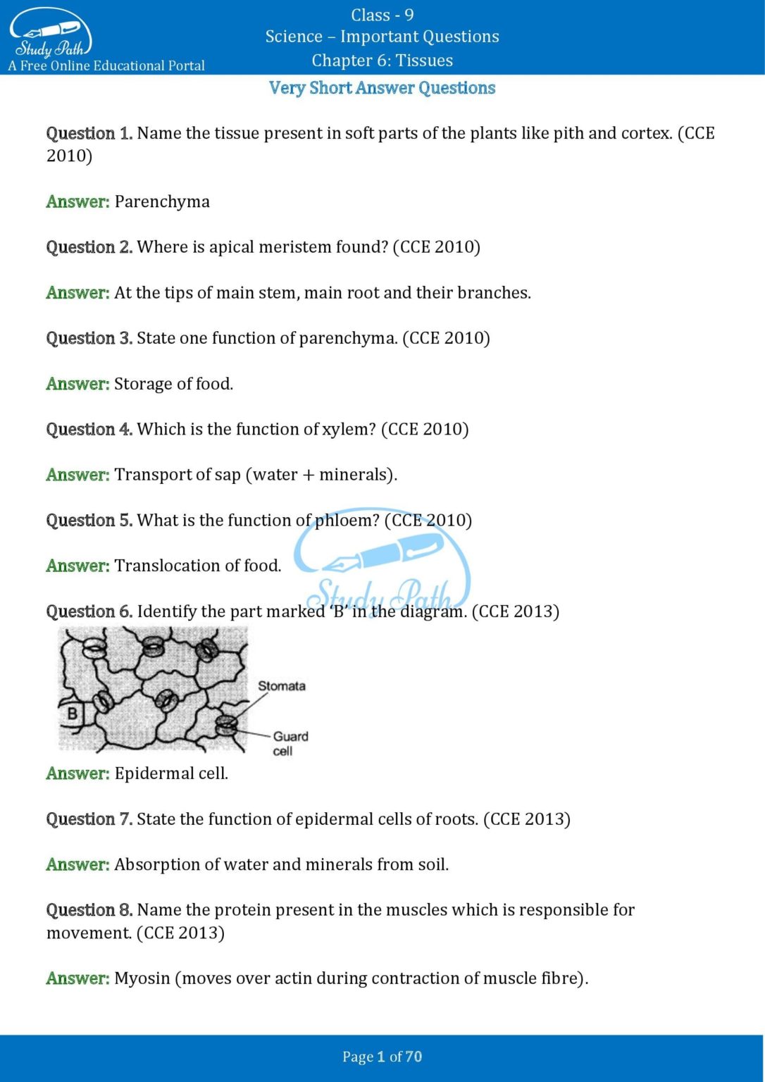 tissues class 9 important questions with answers pdf