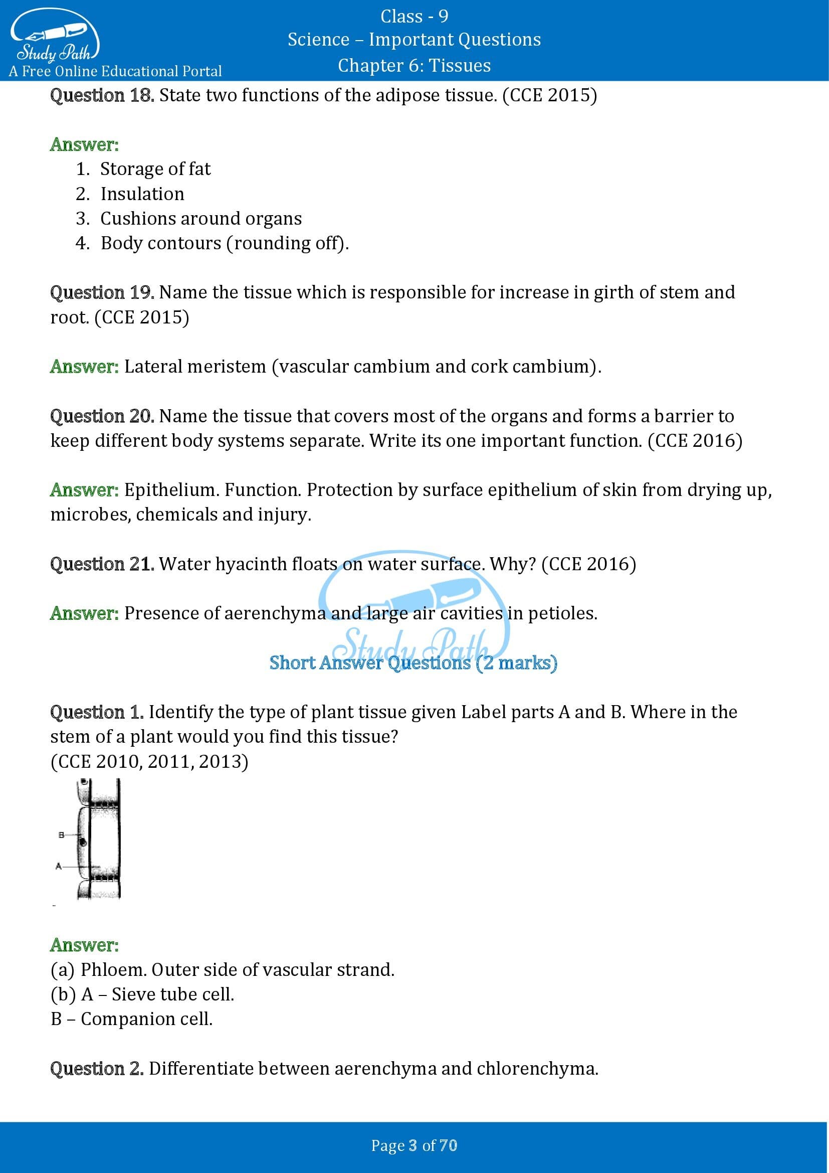 Important Questions for Class 9 Science Chapter 6 Tissues 00003