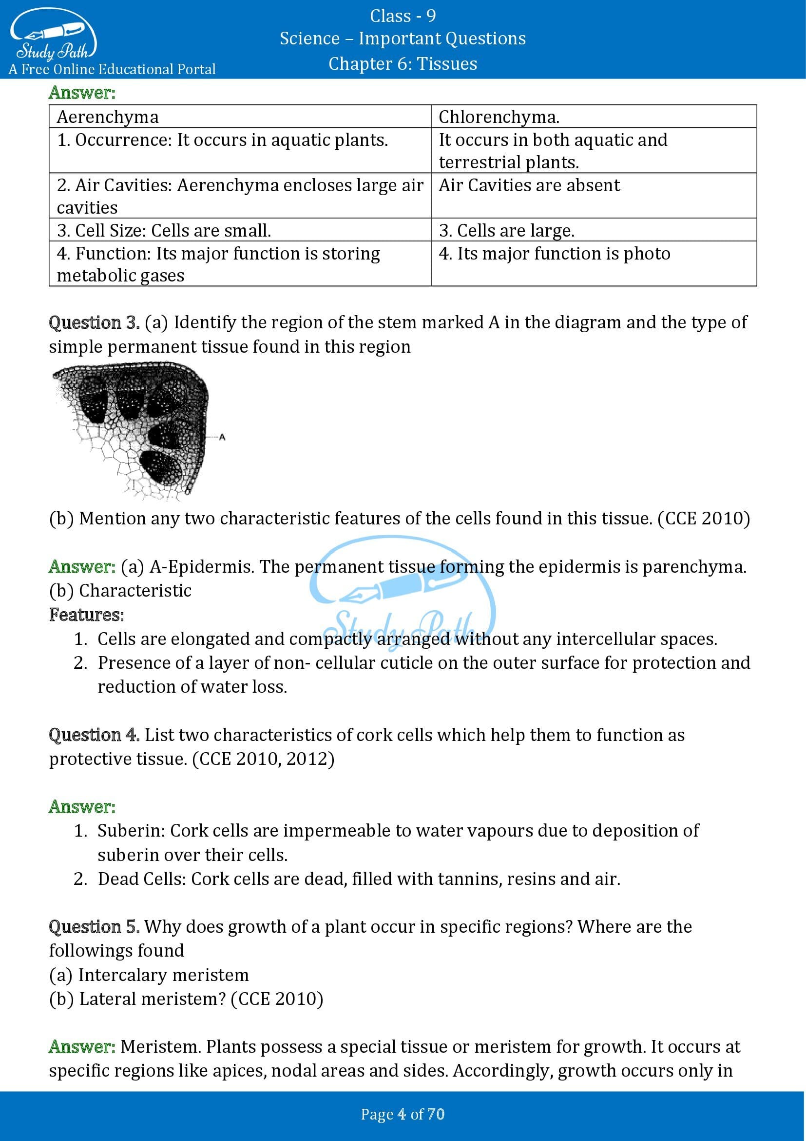 Important Questions for Class 9 Science Chapter 6 Tissues 00004