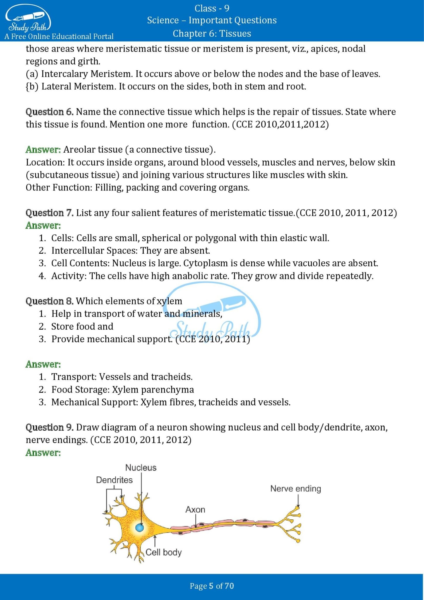 tissues class 9 questions and answers chapter 6