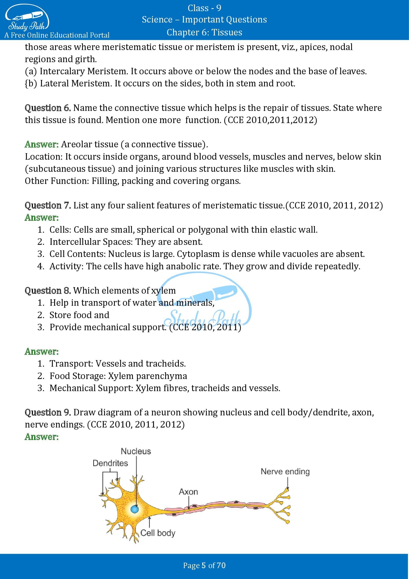 Important Questions for Class 9 Science Chapter 6 Tissues 00005