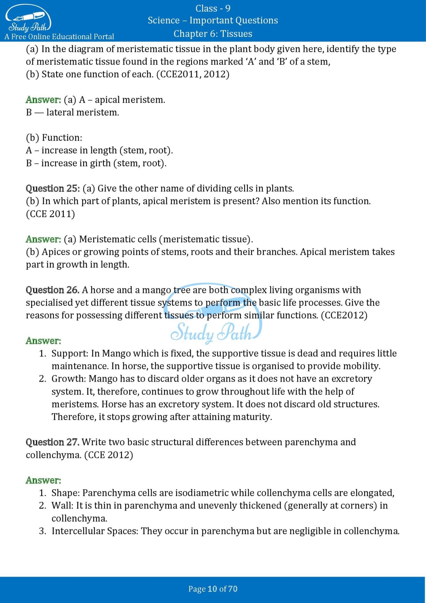 tissues class 9 important questions