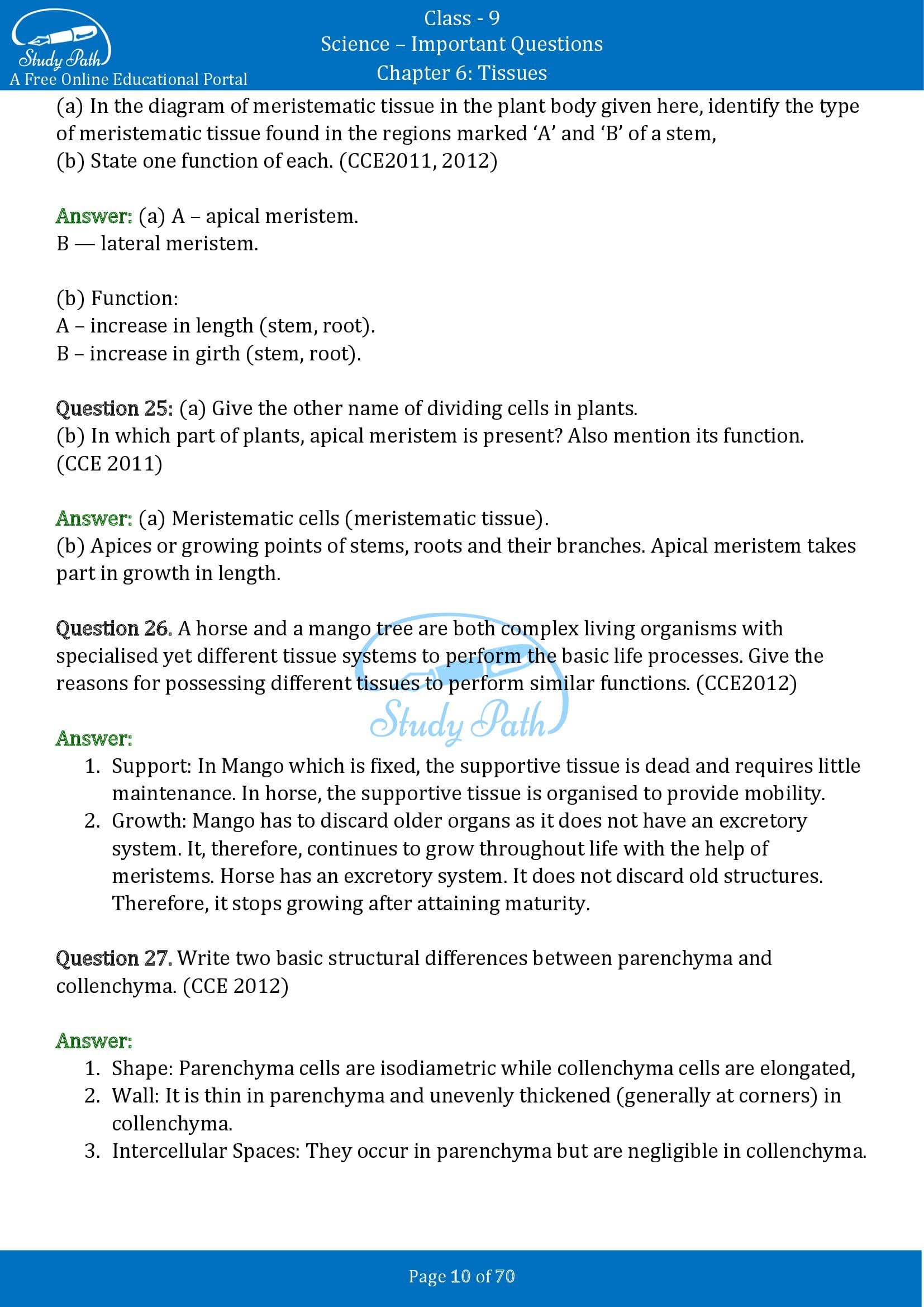 Important Questions for Class 9 Science Chapter 6 Tissues 00010