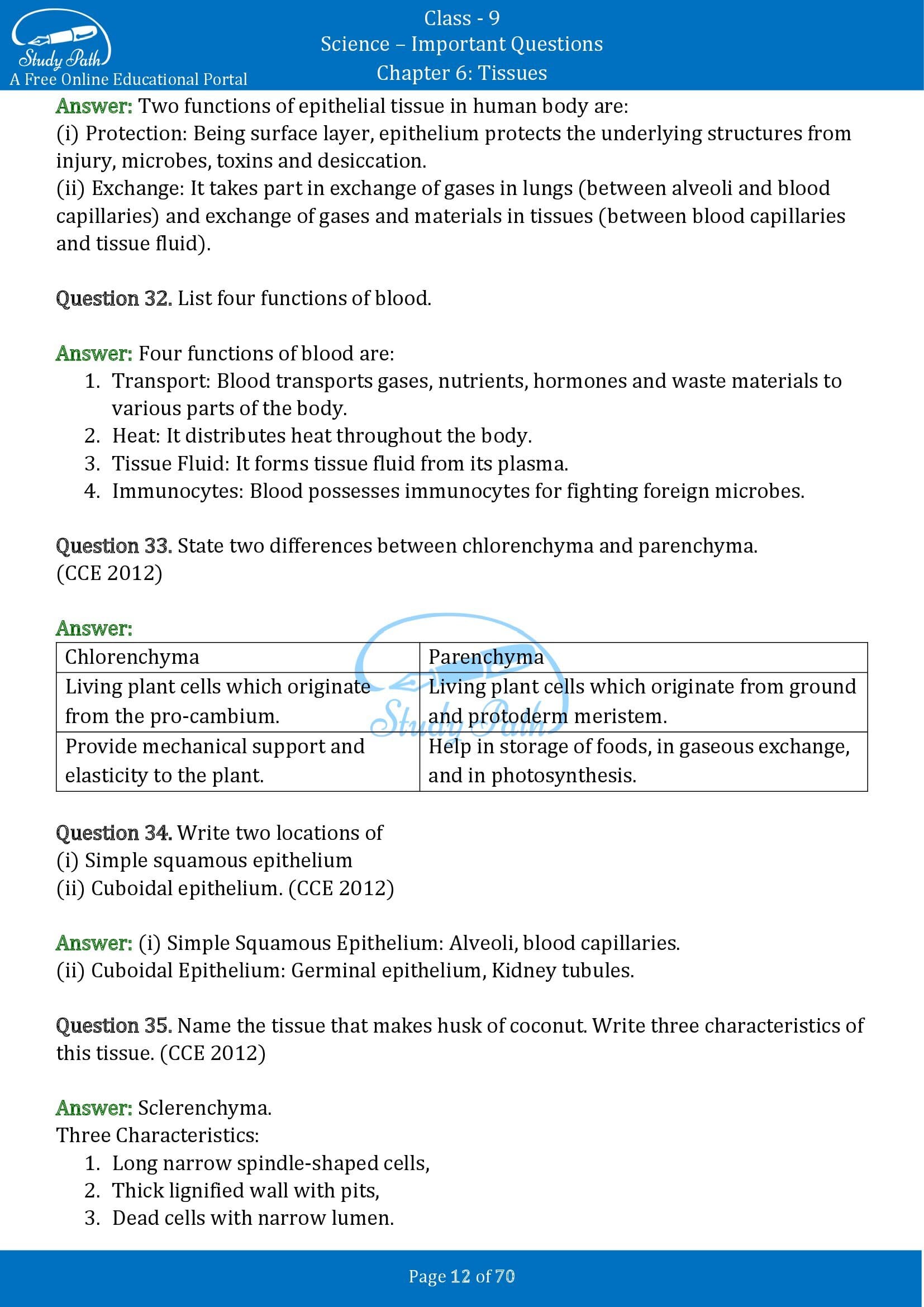 Important Questions for Class 9 Science Chapter 6 Tissues 00012