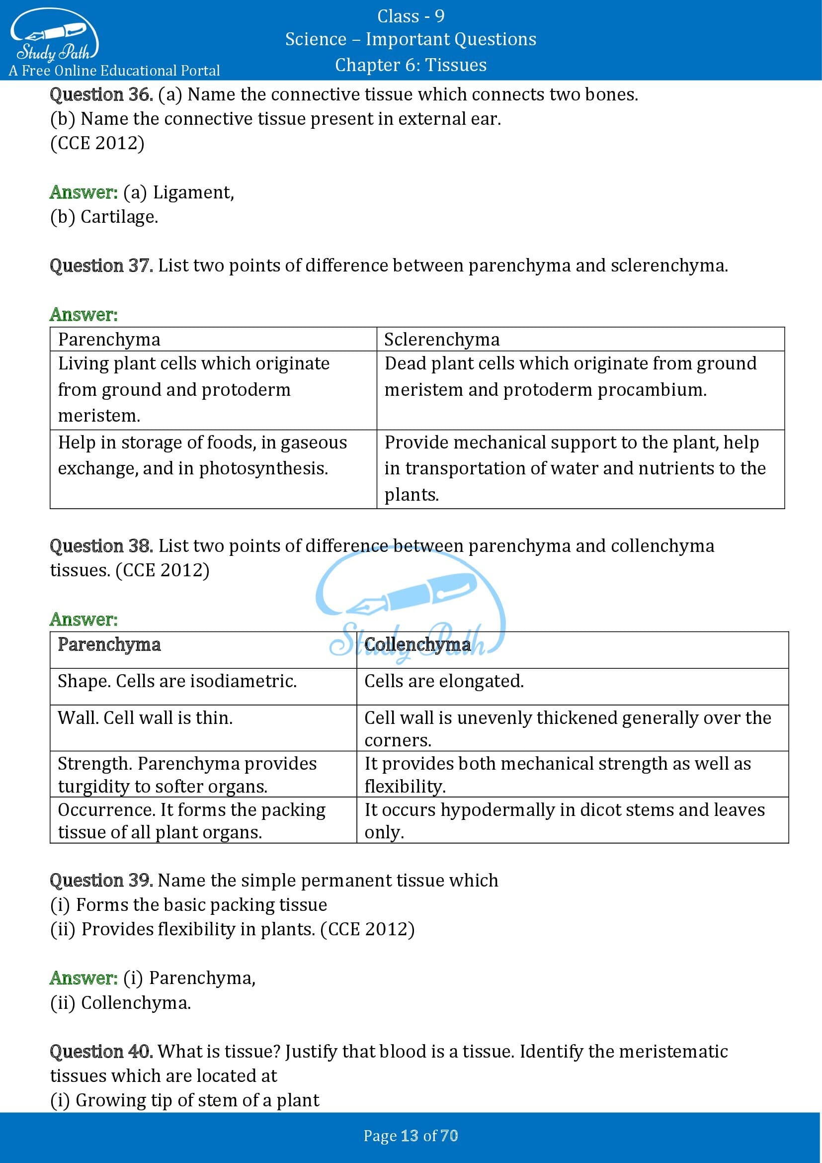 Important Questions for Class 9 Science Chapter 6 Tissues 00013