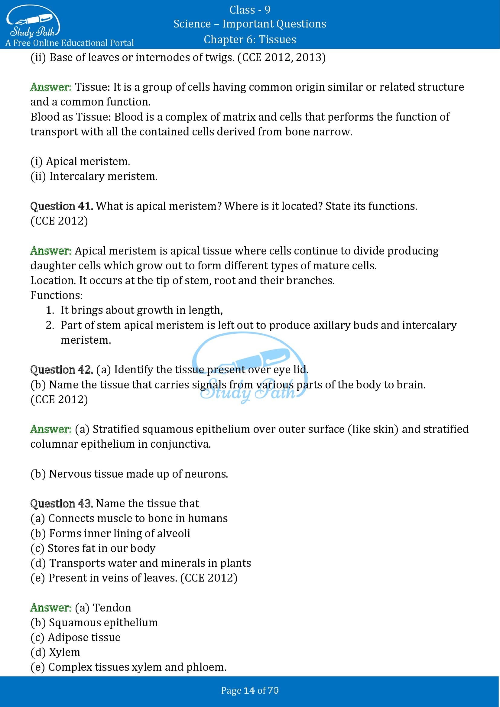 Important Questions for Class 9 Science Chapter 6 Tissues 00014