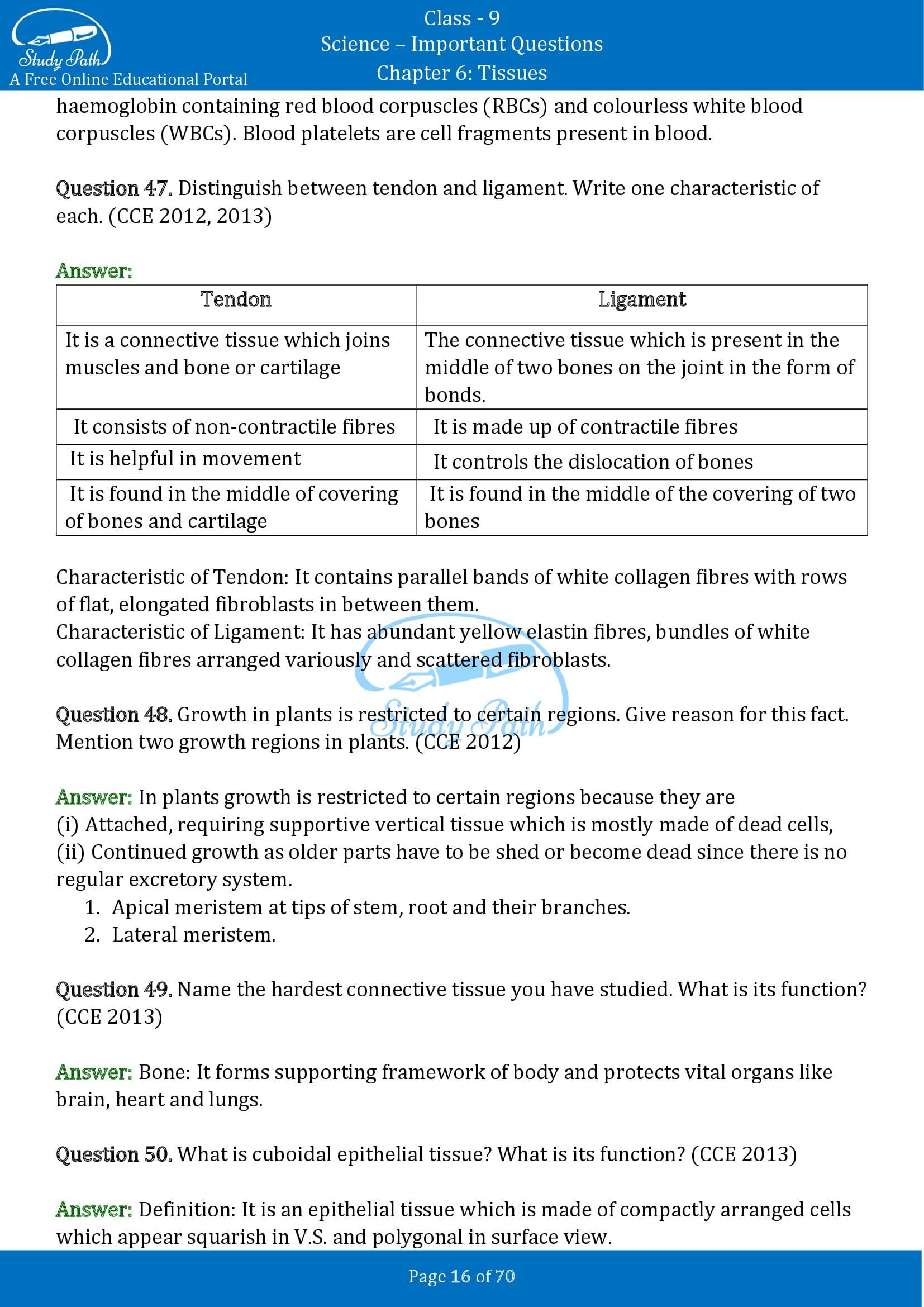 Important Questions for Class 9 Science Chapter 6 Tissues 00016