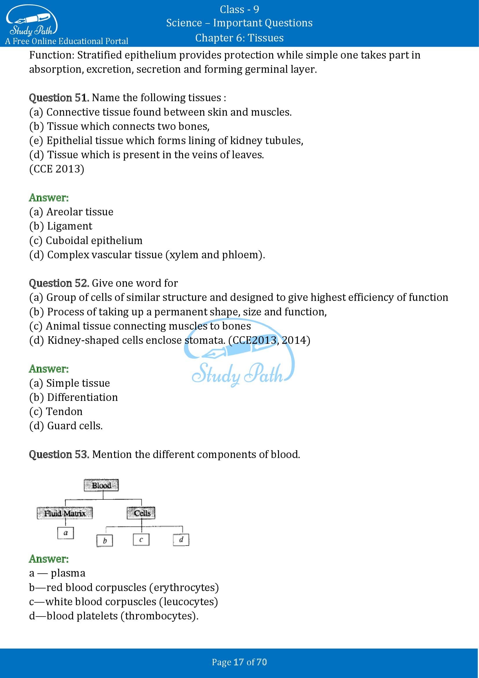 Important Questions for Class 9 Science Chapter 6 Tissues 00017