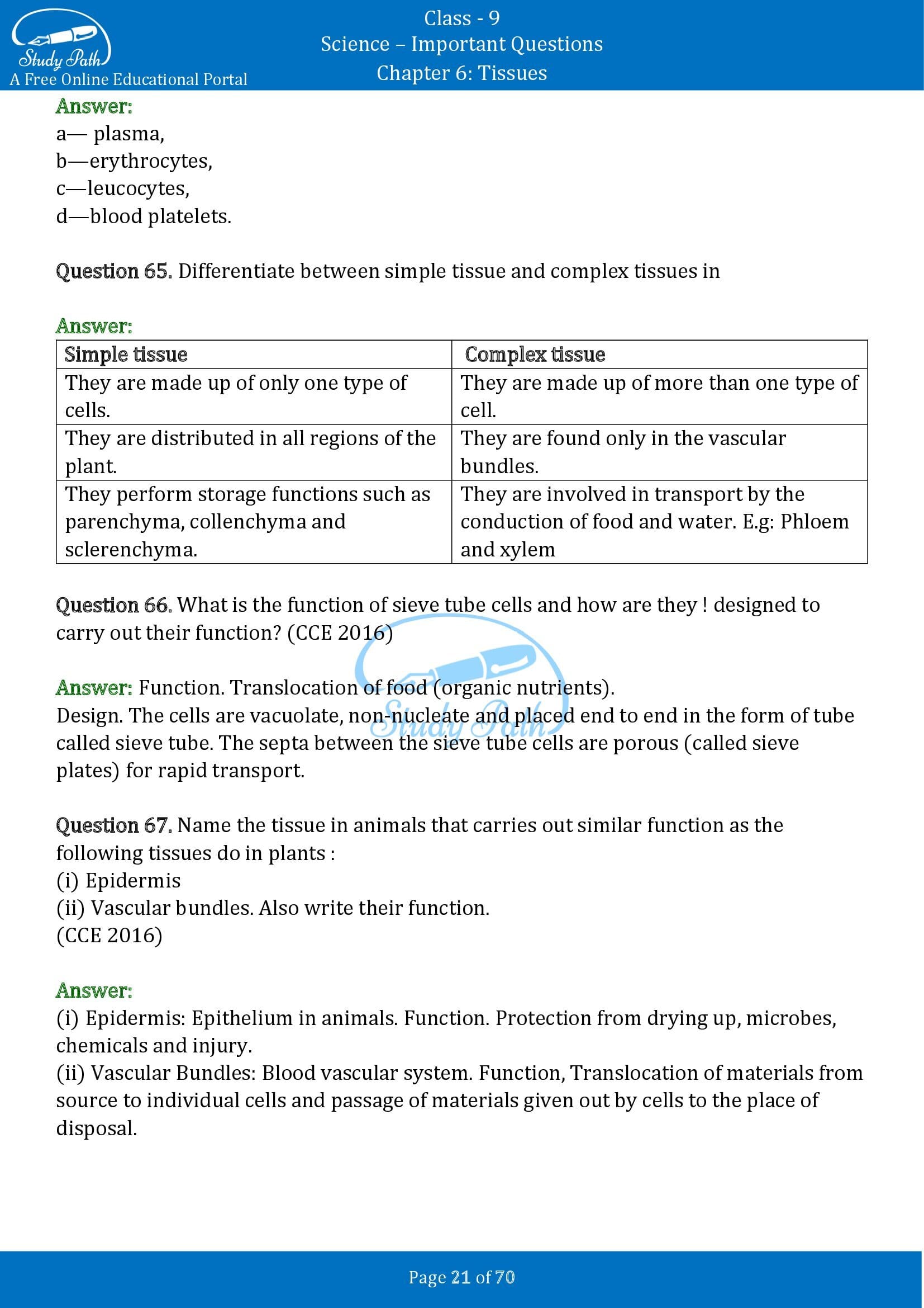 Important Questions for Class 9 Science Chapter 6 Tissues 00021