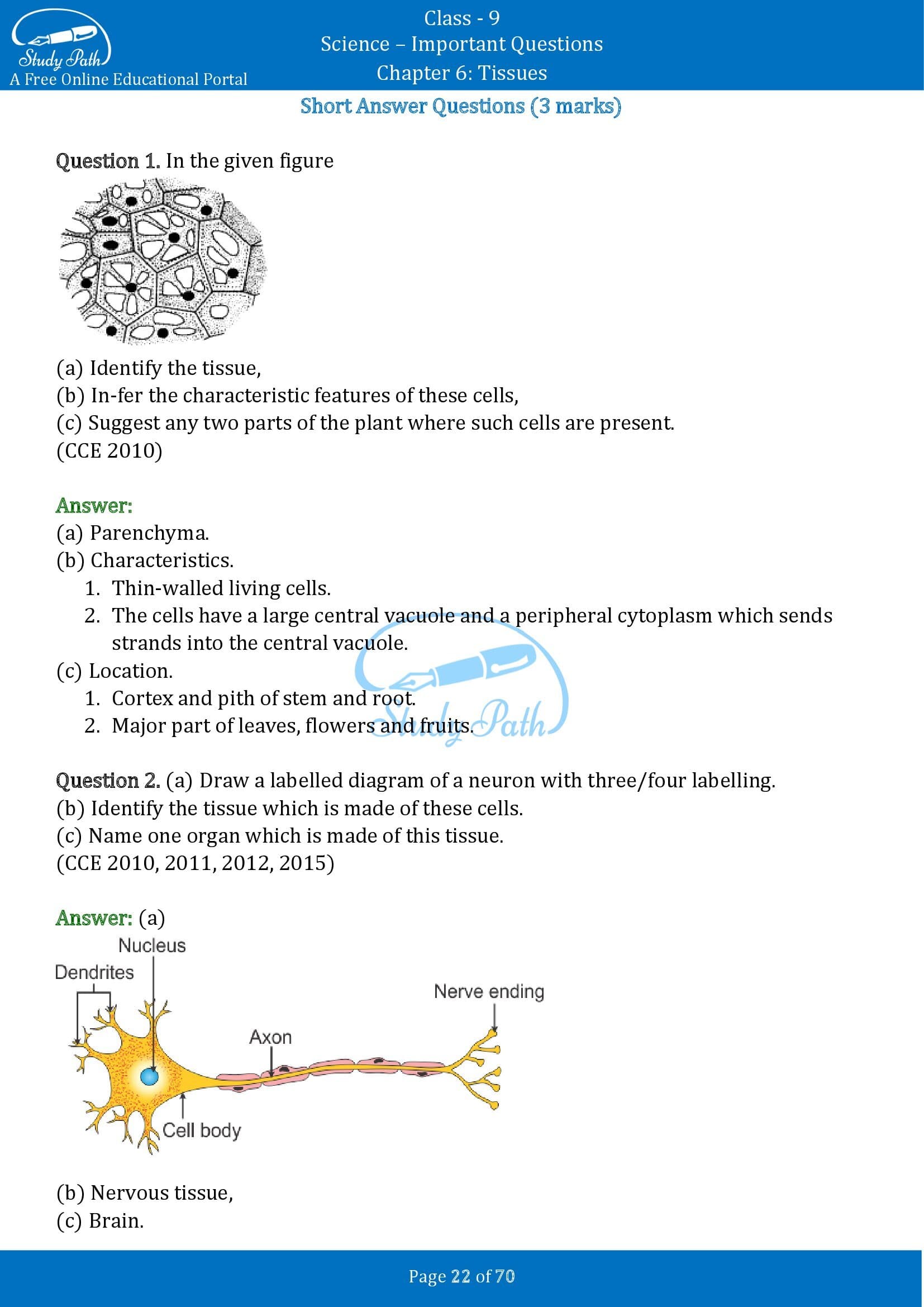 Important Questions for Class 9 Science Chapter 6 Tissues 00022