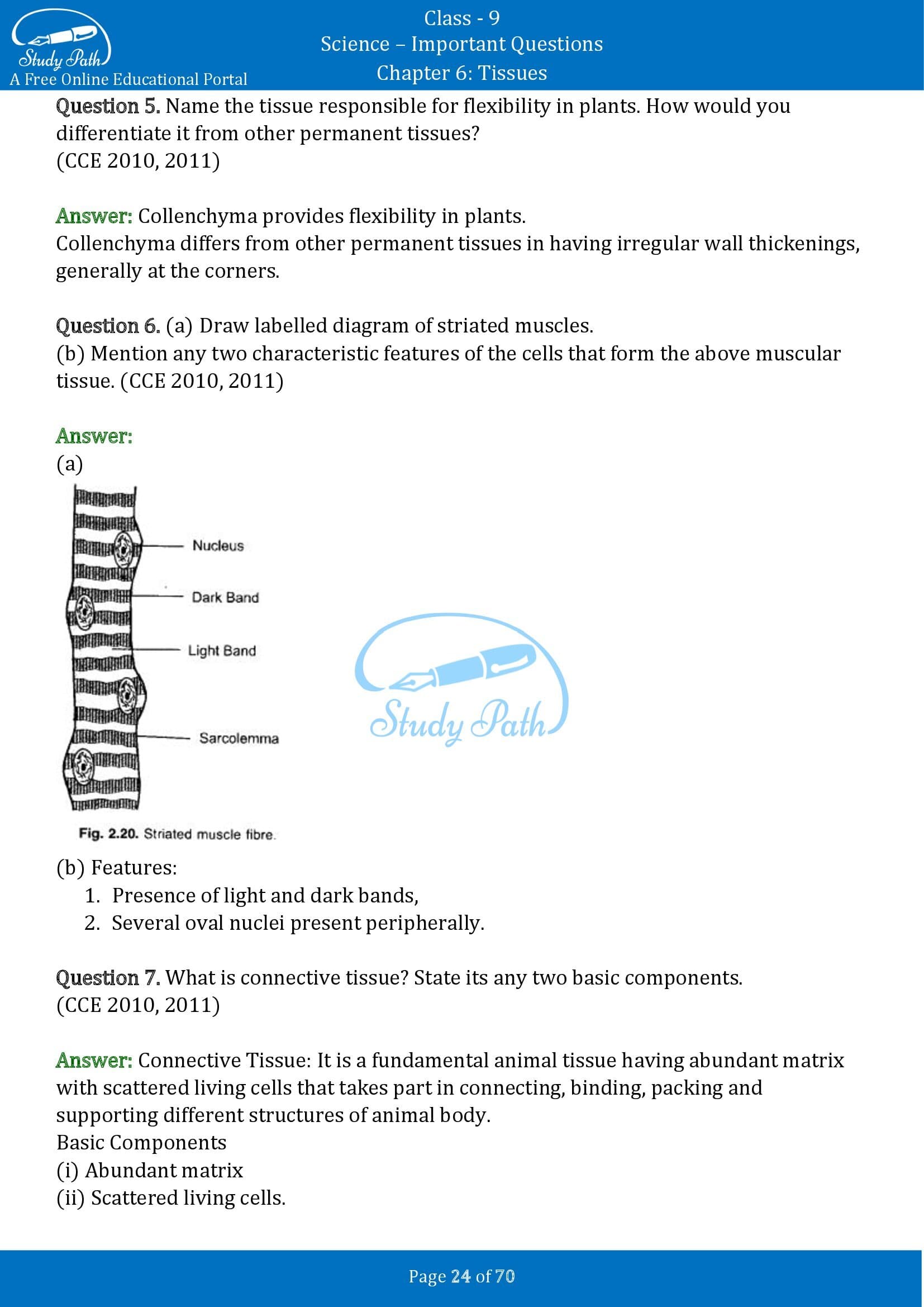 Important Questions for Class 9 Science Chapter 6 Tissues 00024