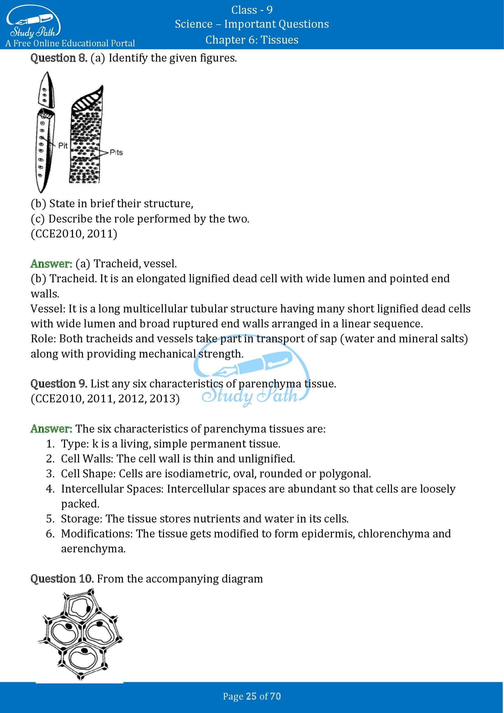 Important Questions for Class 9 Science Chapter 6 Tissues 00025