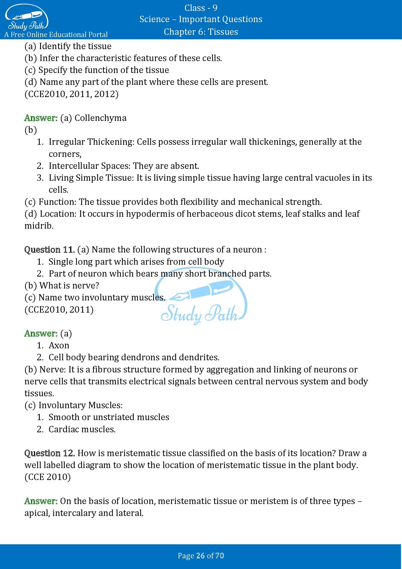 Important Questions for Class 9 Science Chapter 6 Tissues 00026