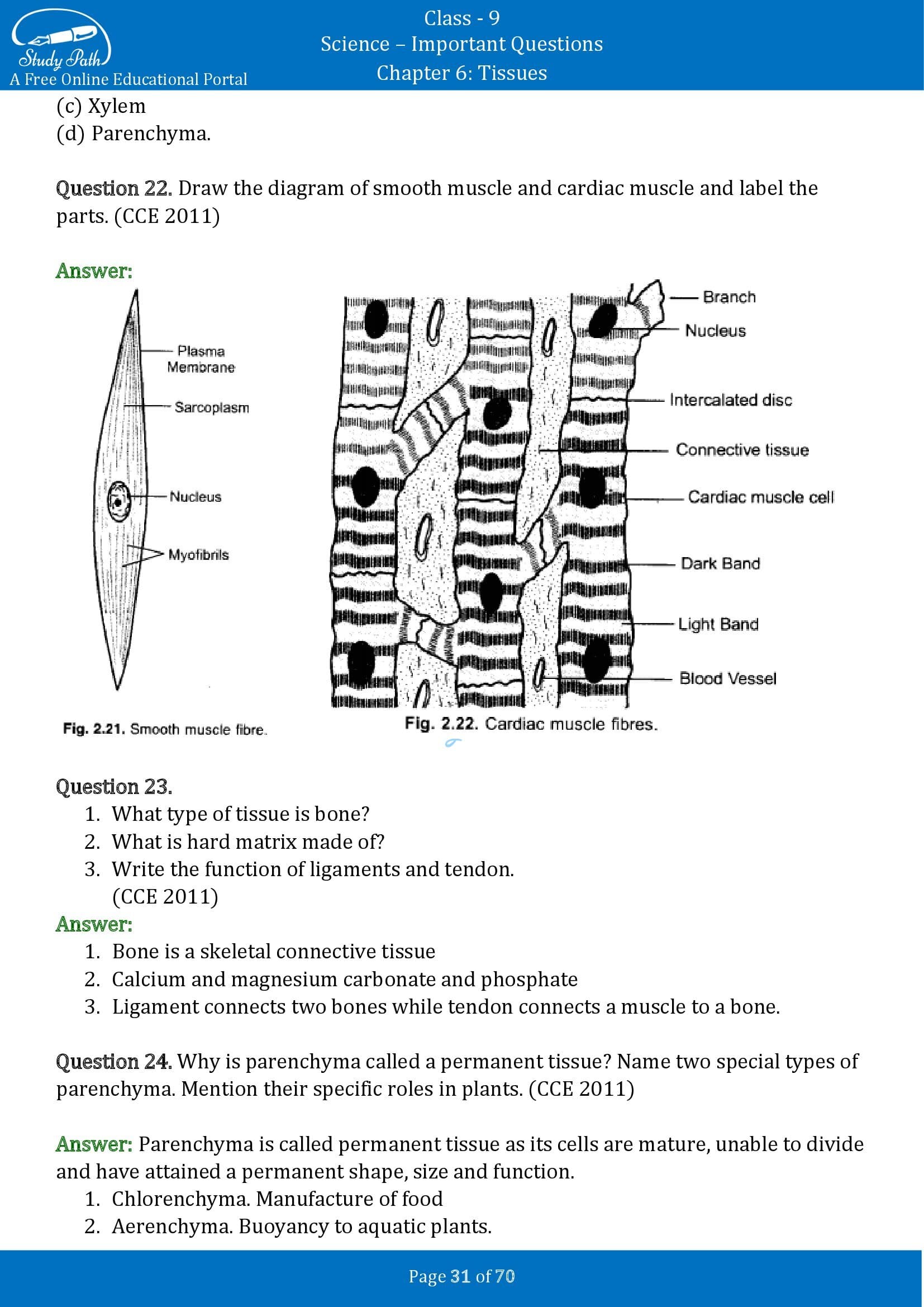 Important Questions for Class 9 Science Chapter 6 Tissues 00031