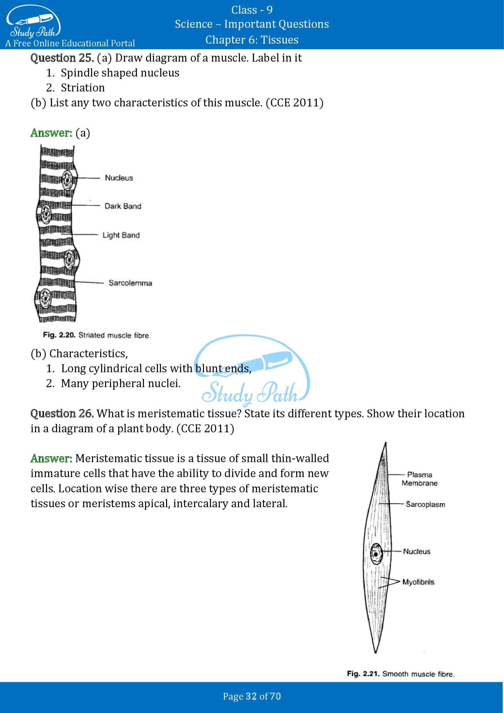 Important Questions for Class 9 Science Chapter 6 Tissues 00032