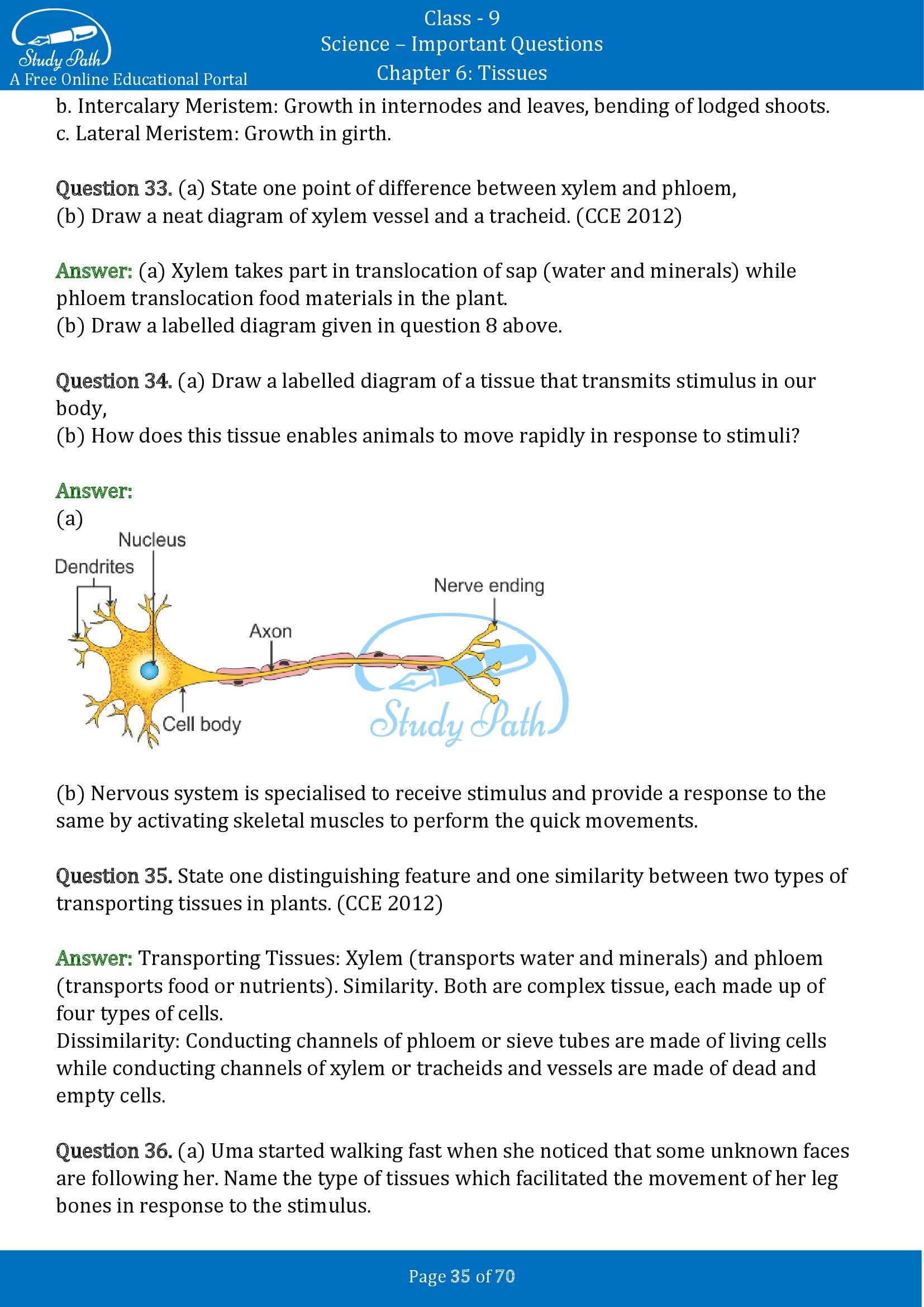 Important Questions for Class 9 Science Chapter 6 Tissues 00035