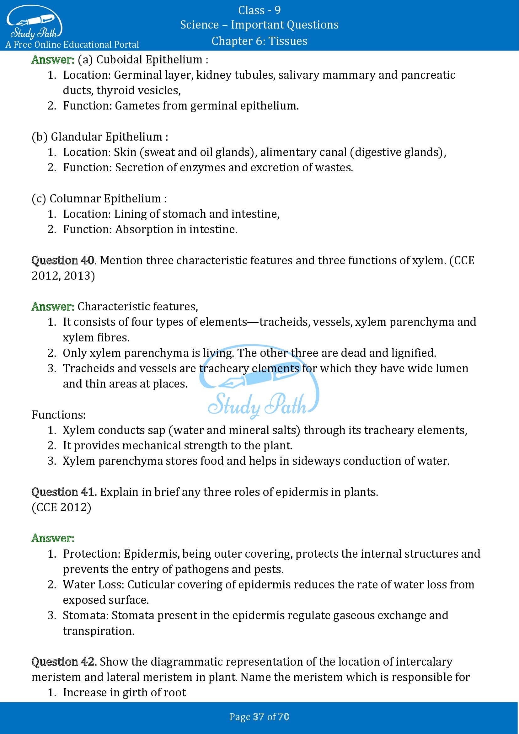 Important Questions for Class 9 Science Chapter 6 Tissues 00037