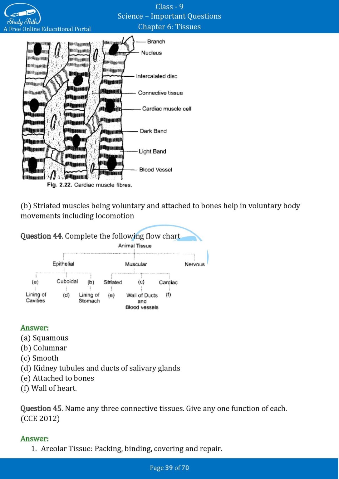 case study questions class 9 science tissues