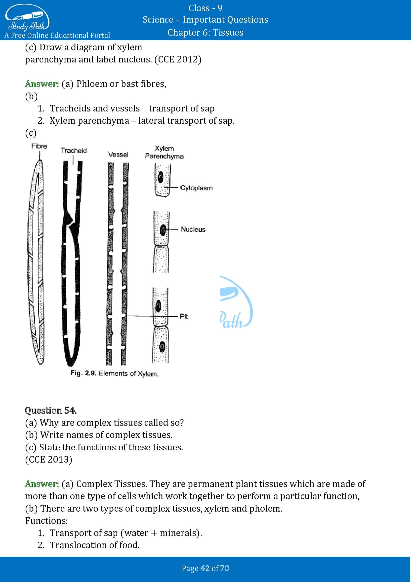 Important Questions for Class 9 Science Chapter 6 Tissues 00042